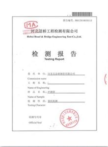 龙岩公司检测报告